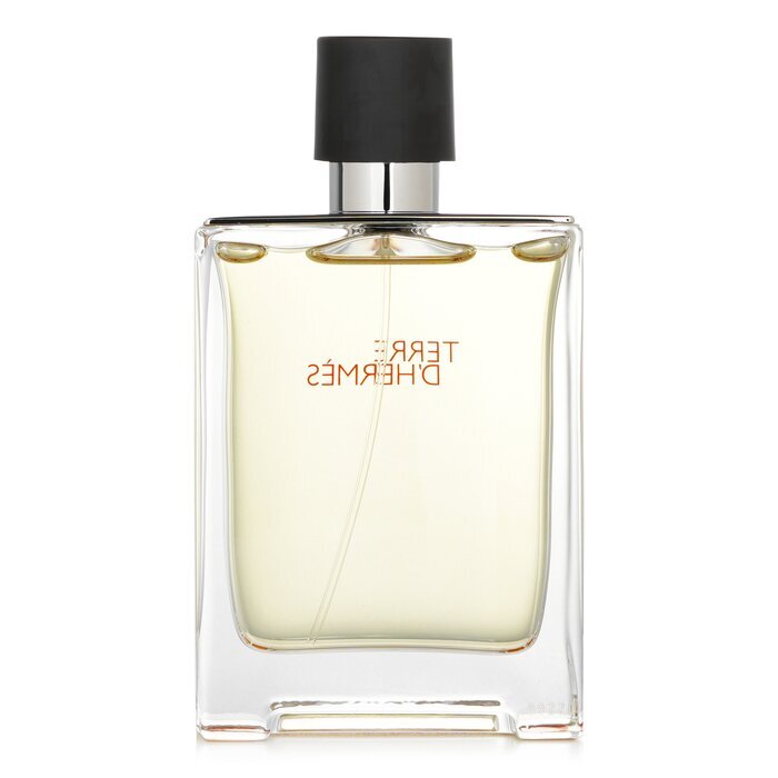 Terre D'Hermes Eau De Toilette Spray 100ml/3.4oz