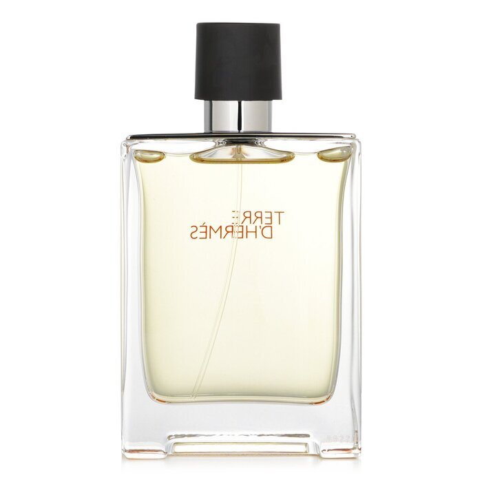 Terre D'Hermes Eau De Toilette Spray 100ml/3.4oz