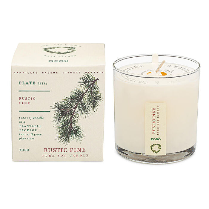 Kobo Rustic Pine Plant The Box Pure Soy Candle 266ml/9oz