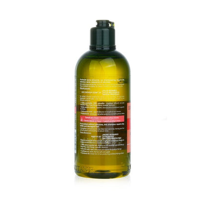 L'Occitane Aromachologie Intensive Repair Shampoo (Damaged Hair) (Random Packaging) 300ml/10.1oz
