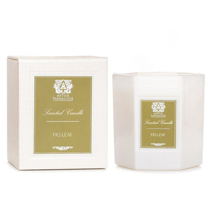 Antica Farmacista Candle - Fig Leaf 255g/9oz