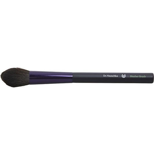 Dr. Hauschka Blusher Brush ---