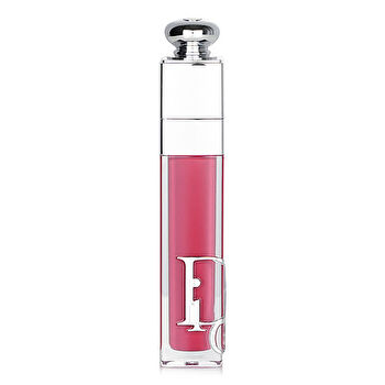 Christian Dior Addict Lip Maximizer Gloss - # 029 Intense Grape 6ml/0.2oz