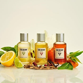 Guess Originals Type 1 Bergamot & Vetiver Eau De Parfum Spray 90ml/3.4oz